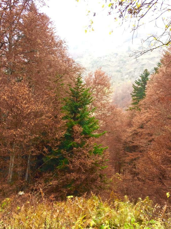 Dulce Y Luminoso Ap En Gessa Διαμέρισμα Εξωτερικό φωτογραφία