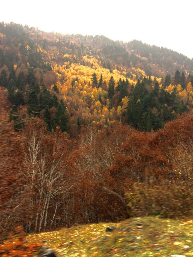 Dulce Y Luminoso Ap En Gessa Διαμέρισμα Εξωτερικό φωτογραφία